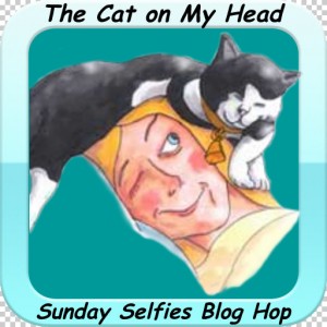 Cat On My Head