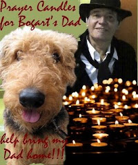 My NOMSS Friend Bogart 's Dad went to Heaven.