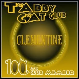 Tabby Cat Club 100 Members