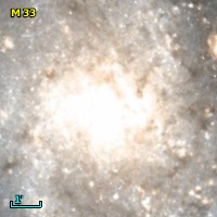 M  33