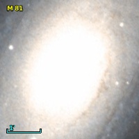 M  81