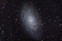 M33