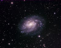 NGC300