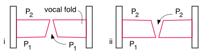 simplified sketch after Titze showing surface wave