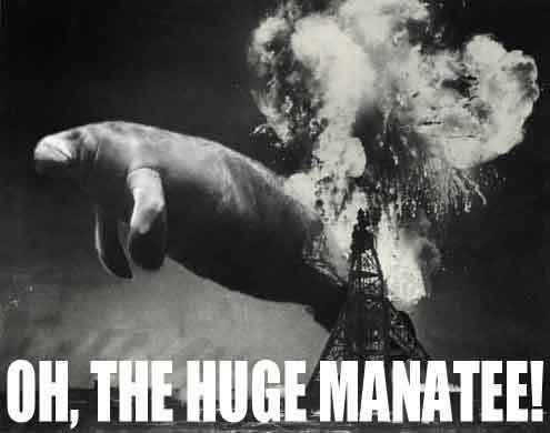 hugemanatee.jpg