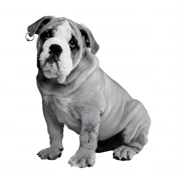 tatoopuppy.gif