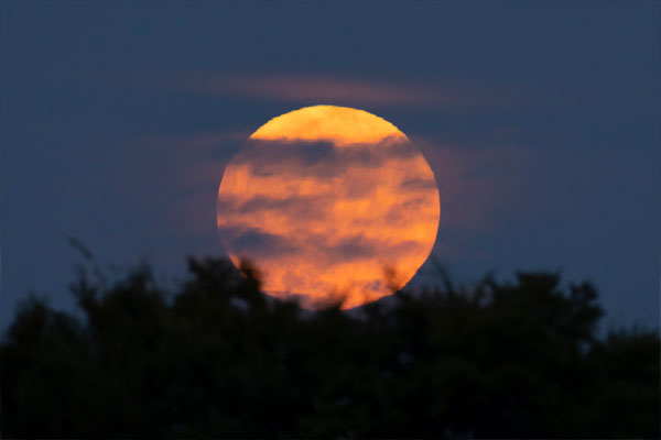 Sweltering Heat Continues on Chuseok with Tropical Night Observed