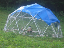 Geodesic Chicken Coop