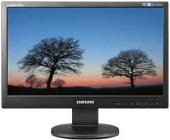 Ecran large Samsung SyncMaster TFT de 22" 2243NW (150 €).