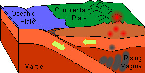 Continental plates