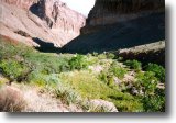 Trail enters Nankoweap creekbed