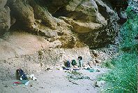 Sheltered site near Phantom Creek