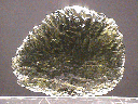 Moldavite