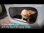 Bottle Recycling Bin Helps Feed Stray Dogs in Istanbul