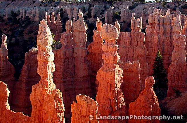 Fairyland Trail, Bryce Canyon National Park, Utah