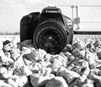 Photography-