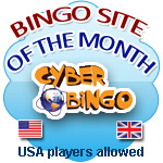 Cyber Bingo USA bingo site of the month