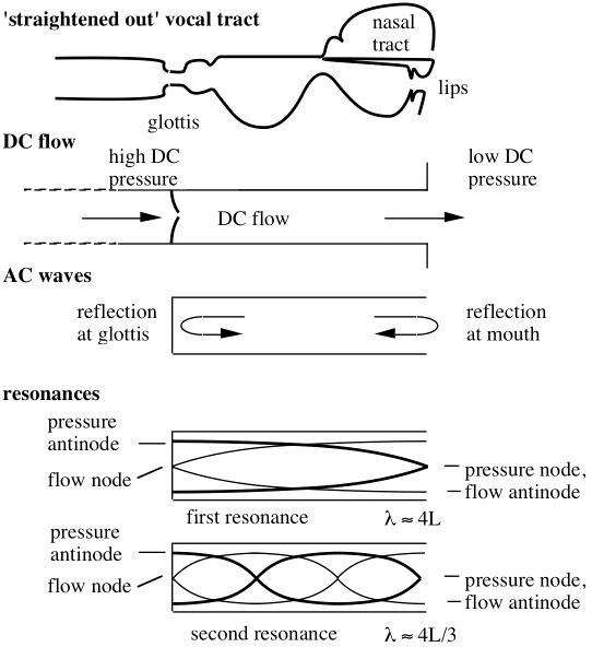 schematic of simple ducts very roughly representing the vocal tract