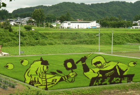 Rice field art --- 